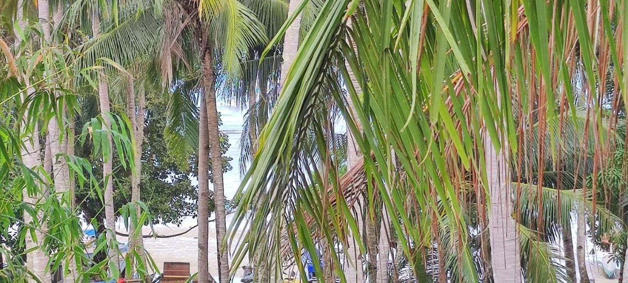 Vali-Joe Travel Lodge El Nido Exteriör bild